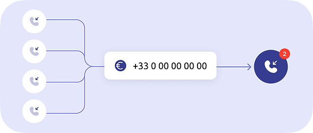 Appels entrants numéros surtaxés